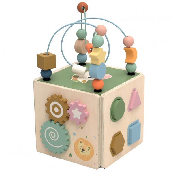 Activity  Cube